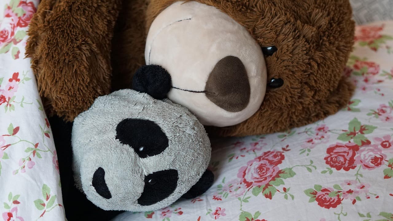 Nesanica: kako da poboljšaš san i kad po pomoć